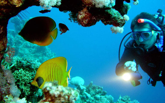 scuba diving services for villas guests in Goa